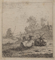 TvB G 0727
<br/>
Twee schapen en een geit
<br/>
<em>Dujardin, Karel (1622-1678)</em>